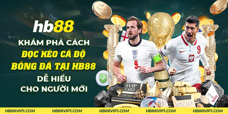 20 Kham pha cach doc keo ca do bong da tai HB88 De hieu cho nguoi moi