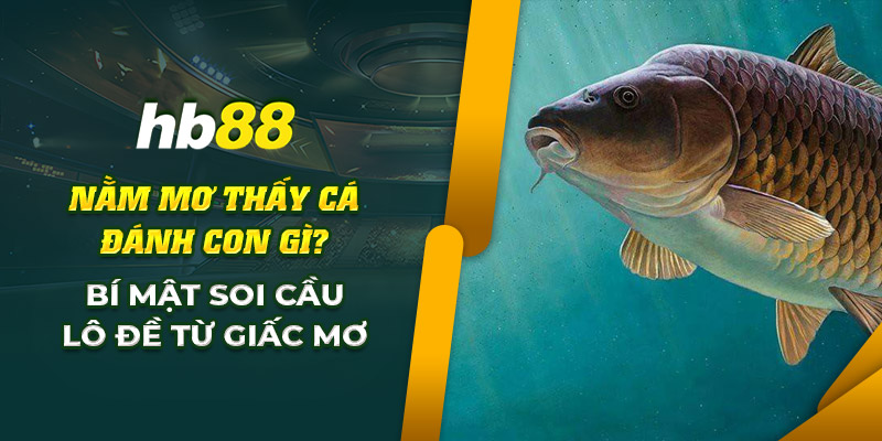 Nằm mơ thấy cá đánh con gì? Giải mã lô đề từ giấc mơ này! 1 hb88