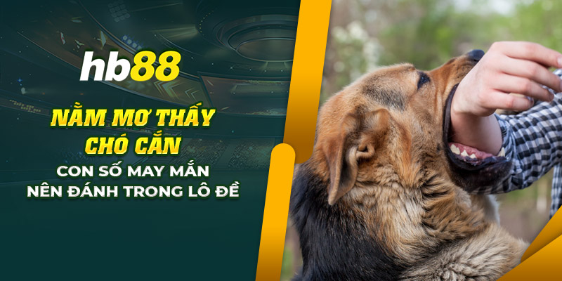 27 nam mo thay cho can con so may man nen danh trong lo de