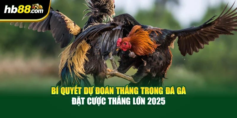 Bí Quyết Dự Đoán Thắng Trong Đá Gà – Đặt Cược Thắng Lớn 2025