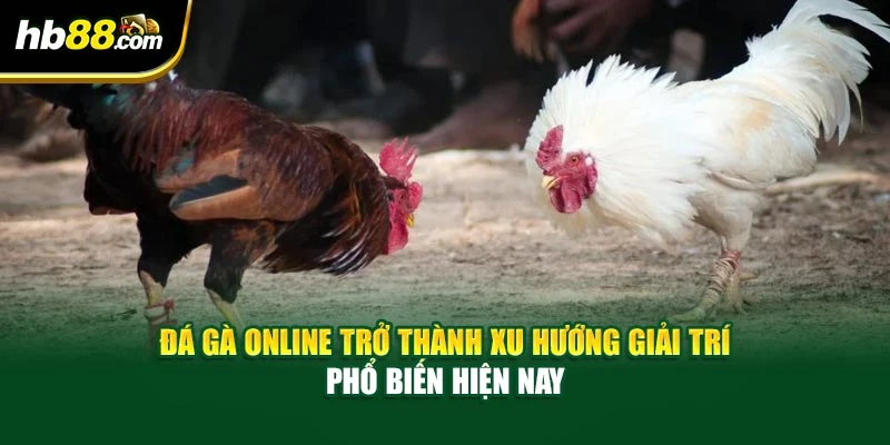 Chơi Đá Gà Trực Tuyến Với Tiền Thưởng Khủng Hàng Đầu Châu Á 2 Đá gà online trở thành xu hướng giải trí phổ biến hiện nay
