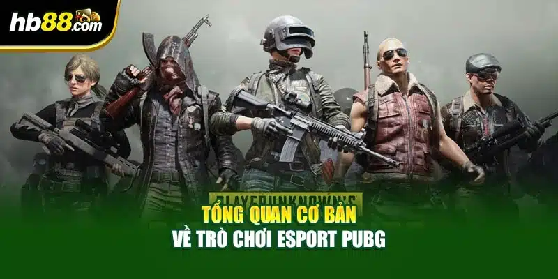 PUBG Khẳng Định Vị Thế Huyền Thoại Trong Esport HB88 2 Tổng quan cơ bản về trò chơi Esport PUBG