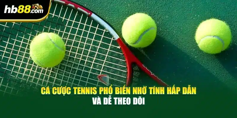 Mẹo Cá Cược Tennis - Chơi Tennis Online, Thắng Lớn 2025 2 Cá cược tennis phổ biến nhờ tính hấp dẫn và dễ theo dõi