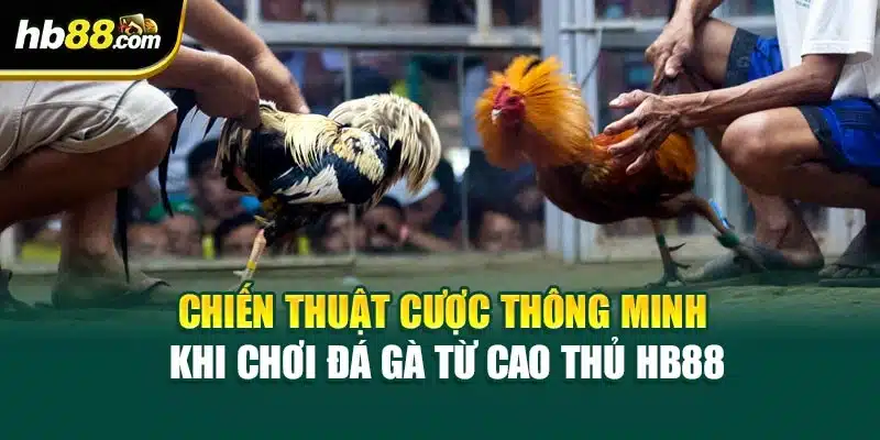 Chiến Thuật Cược Thông Minh Khi Chơi Đá Gà Từ Cao Thủ HB88