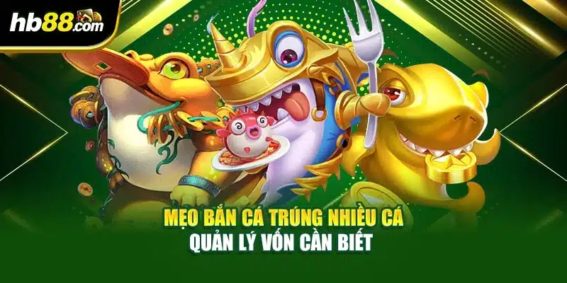Mẹo Bắn Cá Trúng Nhiều Cá Thống Trị Thế Giới Đại Dương 2 Mẹo bắn cá trúng nhiều cá quản lý vốn cần biết